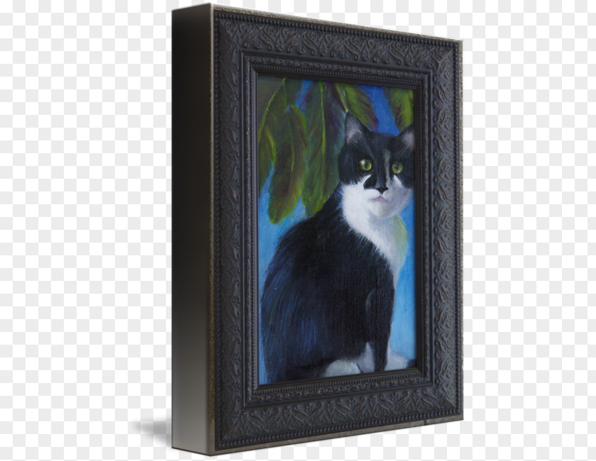 Tuxedo Cat Drawings Kitten Whiskers Picture Frames Felicia Hardy PNG