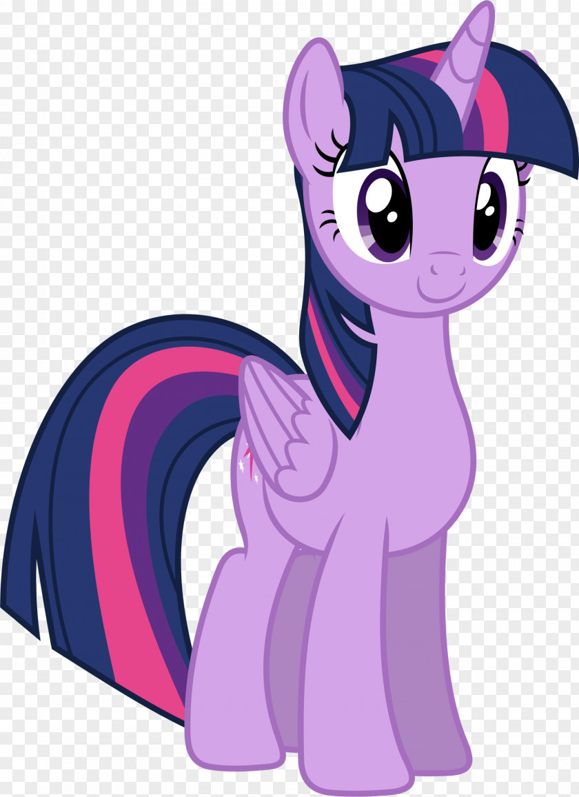 Twilight Sparkle Pony Princess Cadance Rarity Rainbow Dash PNG