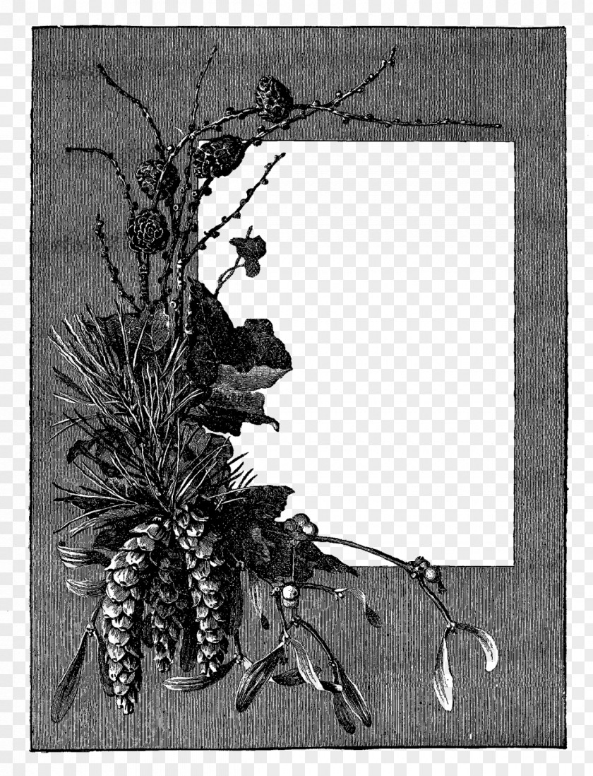 Gray Flower Frame File Picture Clip Art PNG