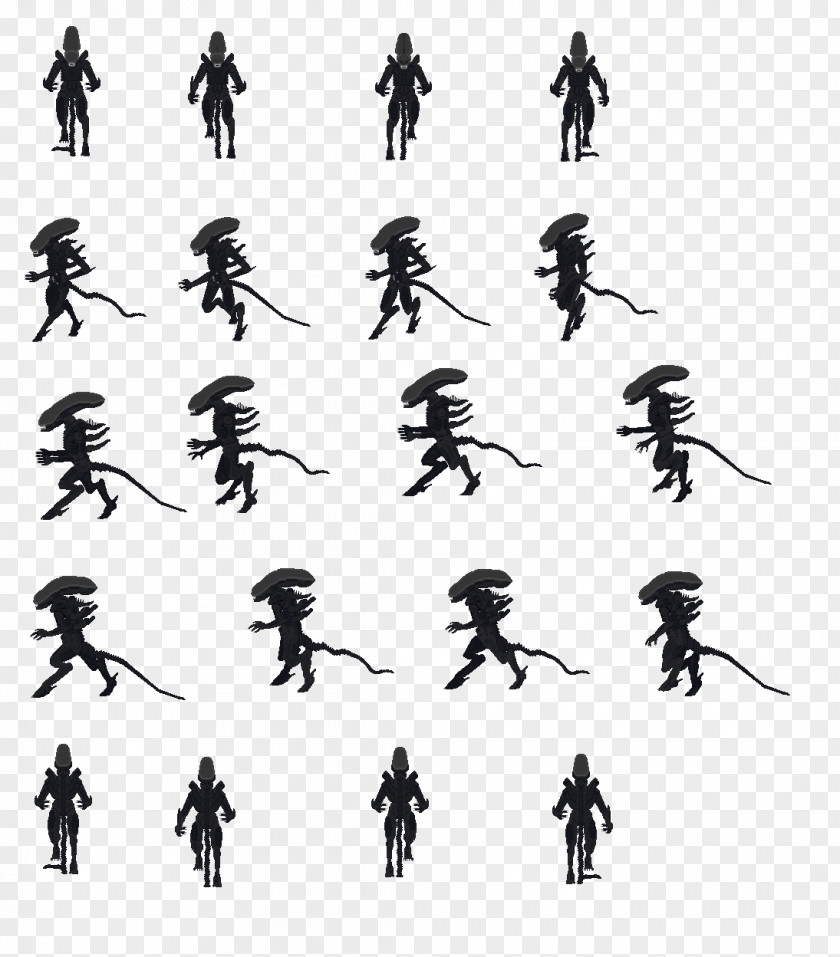 Insect Silhouette Cartoon Black White PNG