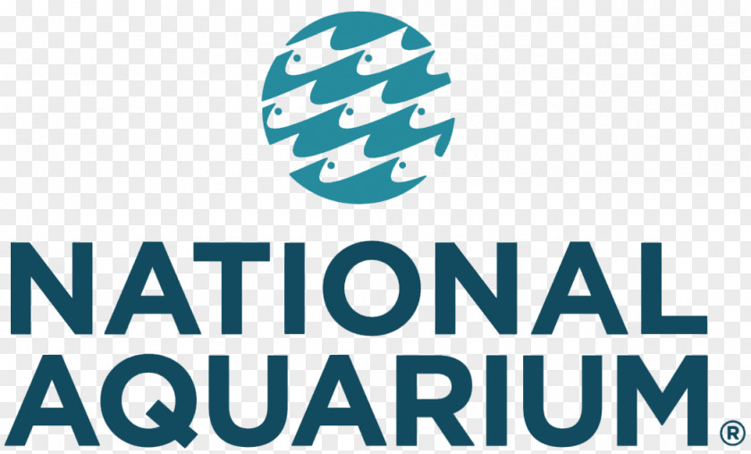 National Appliance Energy Conservation Act Aquarium Academy Of Health & Business Pier V Parking East Pratt Street Public PNG