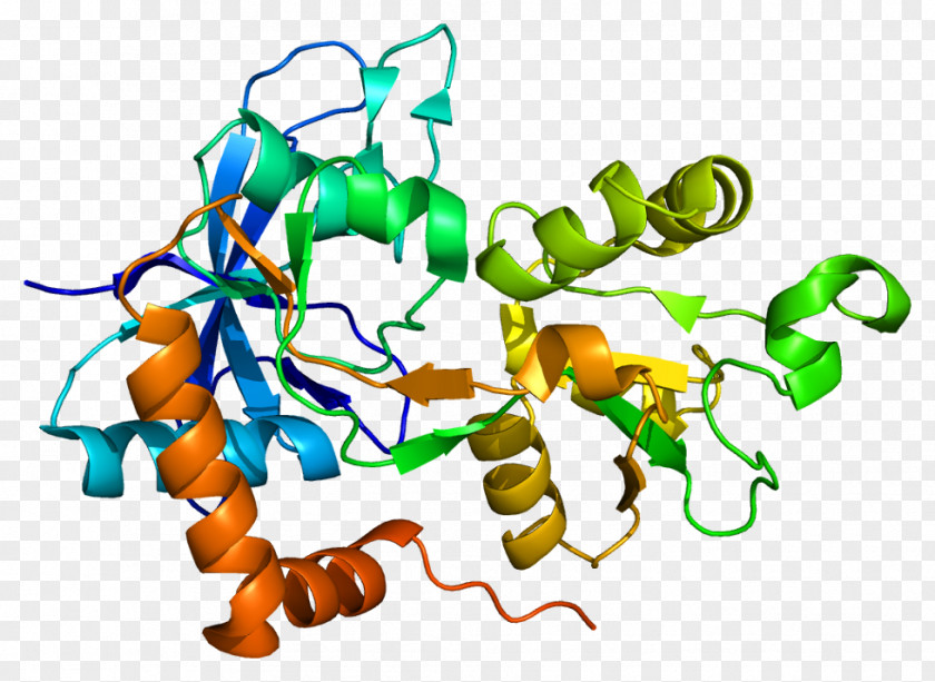 Nmda Receptor GRIN2A NMDA N-Methyl-D-aspartic Acid Gene GRIN1 PNG