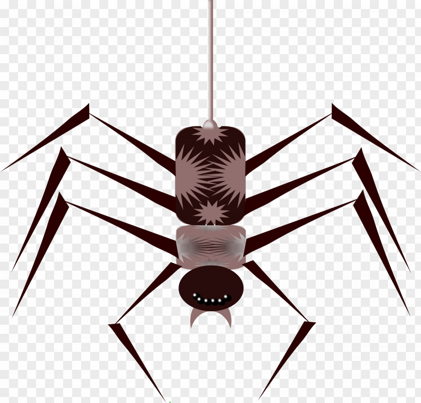 Spider Insects And Spiders Bee Clip Art PNG