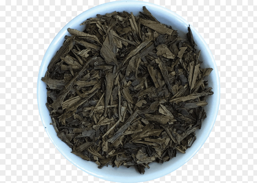 Tea Hōjicha Nilgiri Oolong Gunpowder PNG