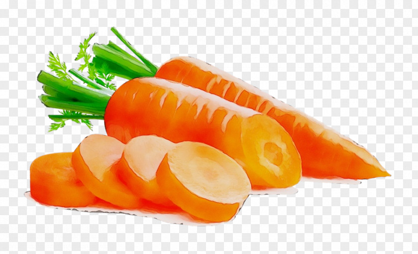 Wild Carrot Ingredient Food Vegetable Fish Slice Dish PNG
