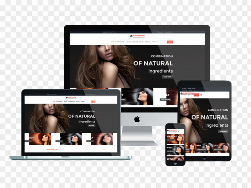 WordPress Responsive Web Design Professional Joomla! Template System PNG