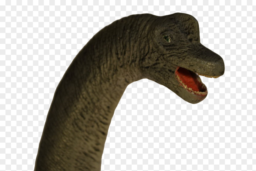 Brachiosaurus Beak Neck PNG