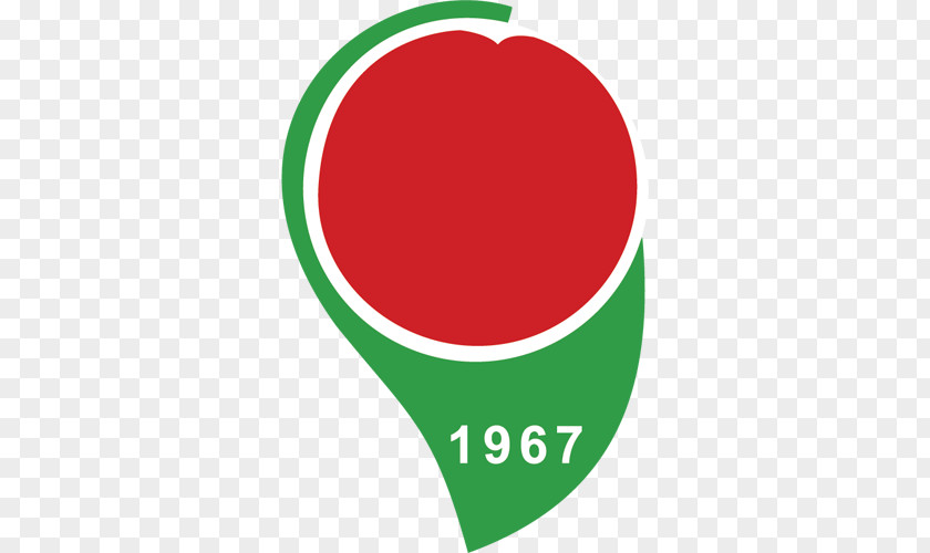Futbol<<<<<< Amasyaspor Logo Amasya 12 Haziran Stadyumu Sports Association PNG