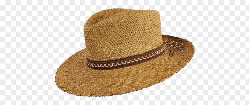 Hat Fedora Straw Trilby Panama PNG