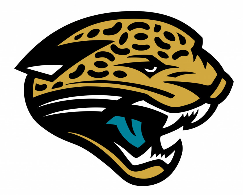 NFL Jacksonville Jaguars Carolina Panthers Arizona Cardinals New Orleans Saints PNG