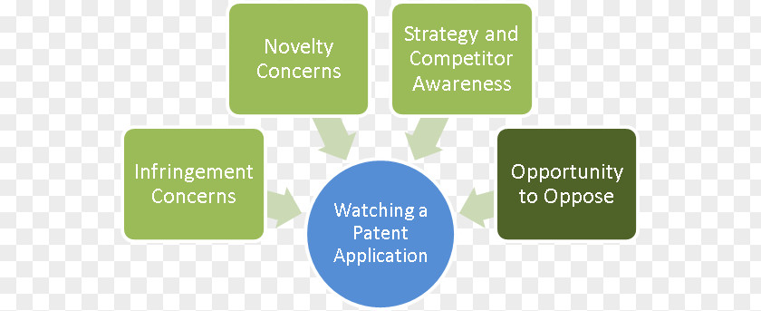 Trademark Attorney Brand Organization PNG