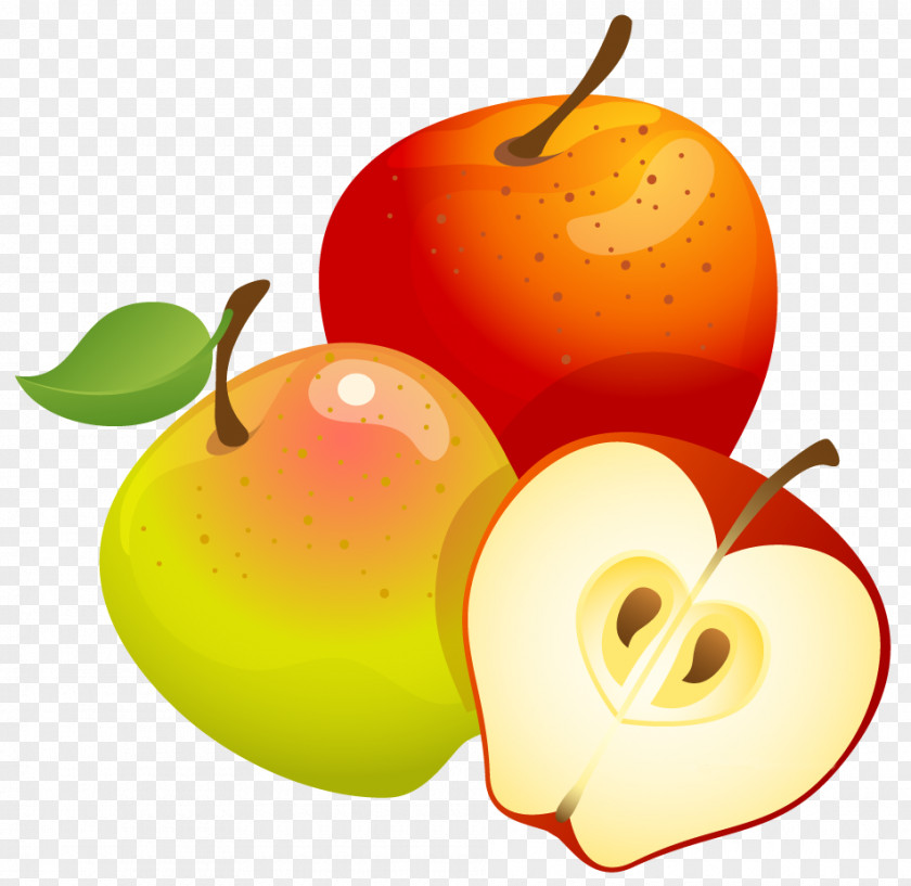 Large Painted Apples Clipart Fruit Tree Euclidean Vector PNG