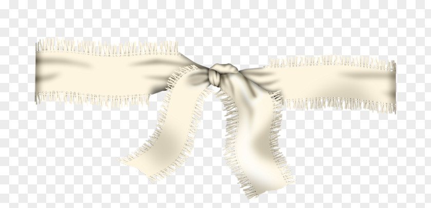 Tie Shoelace Knot Ribbon PNG