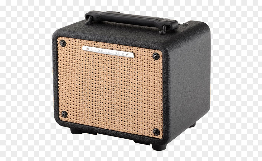 Acoustic Guitar Amplifier Electric Ibanez Troubadour T30II PNG