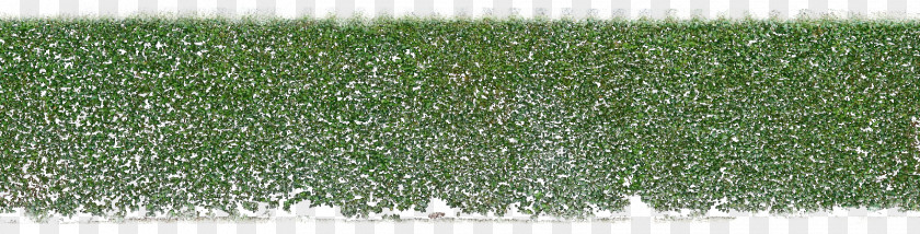 Background Hedges Hd Transparent Artificial Turf Garden Lawn Yard Tree PNG