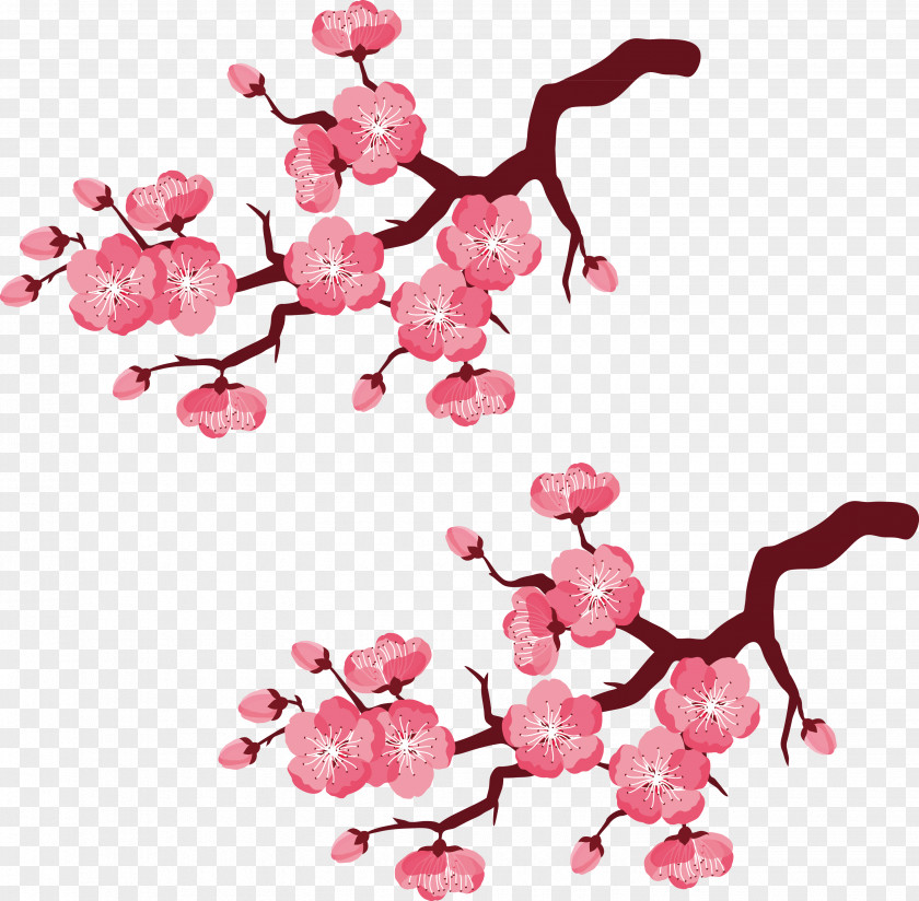 Cherry Decorated Branches Vector Hand-painted Blossom Branch Illustration PNG