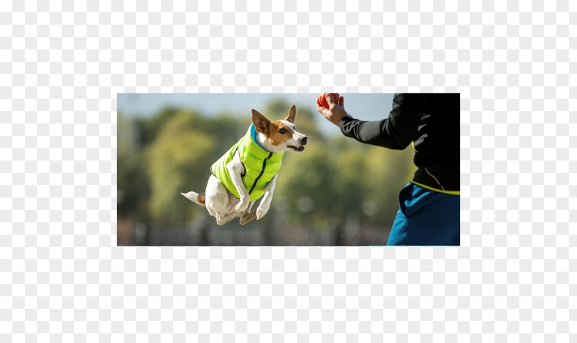 Dog Jump Leash Gilets Daunenjacke Pet PNG