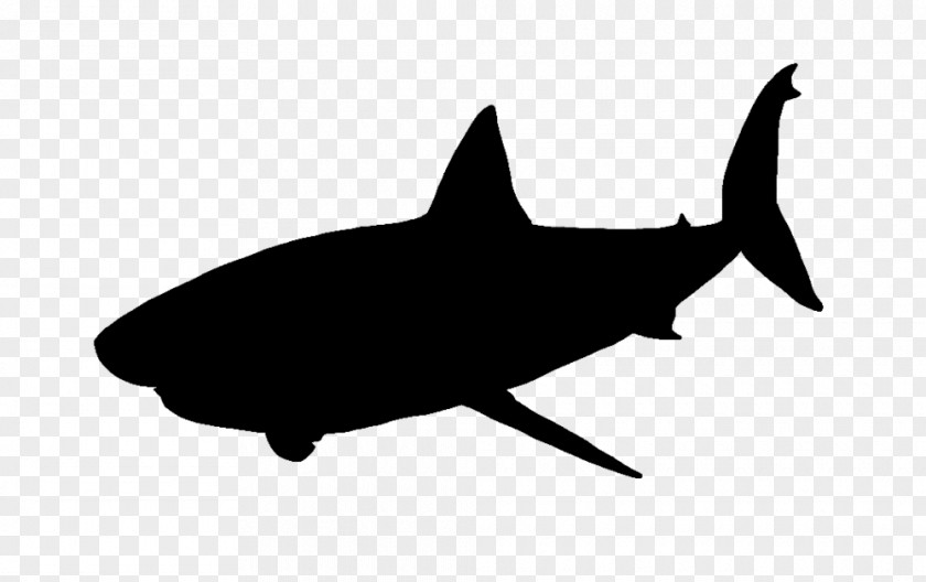 Great Wall Silhouette White Shark Clip Art PNG