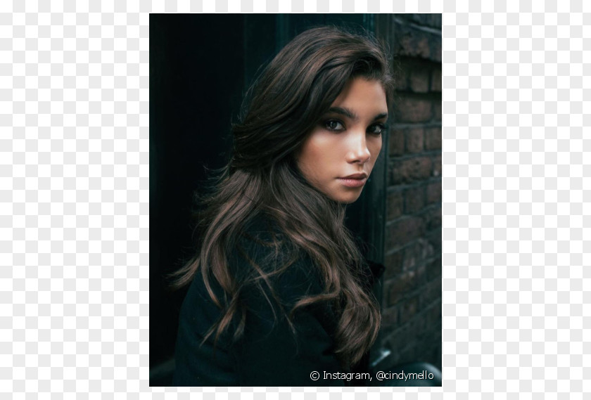 Hair Long Chestnut Brown Coloring PNG