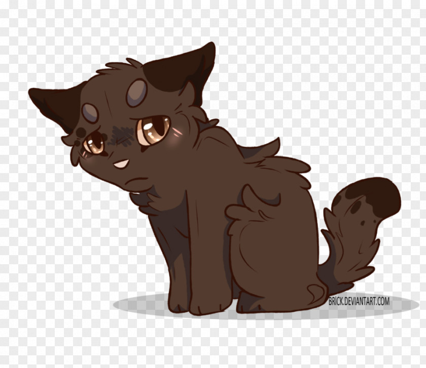 Kitten Whiskers Cat Dog Horse PNG