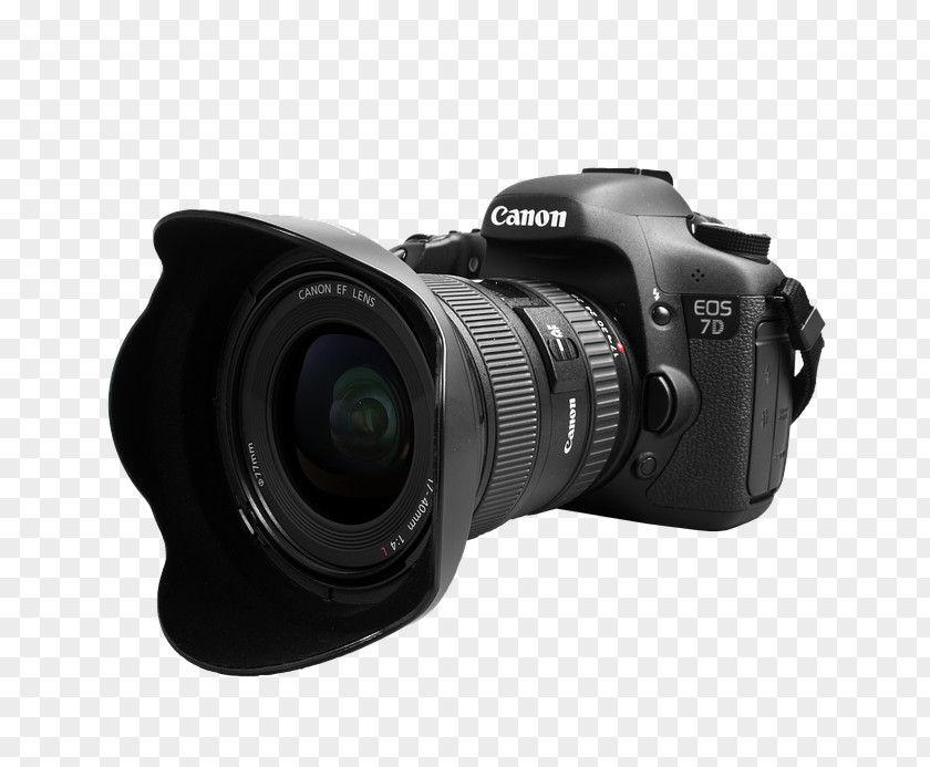 Camera Carpe Media Camcorder Video Cameras Digital SLR Photography PNG