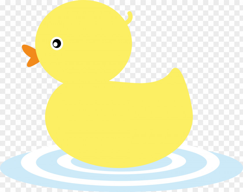 Ducklings Swimming Little Yellow Duck Project PNG
