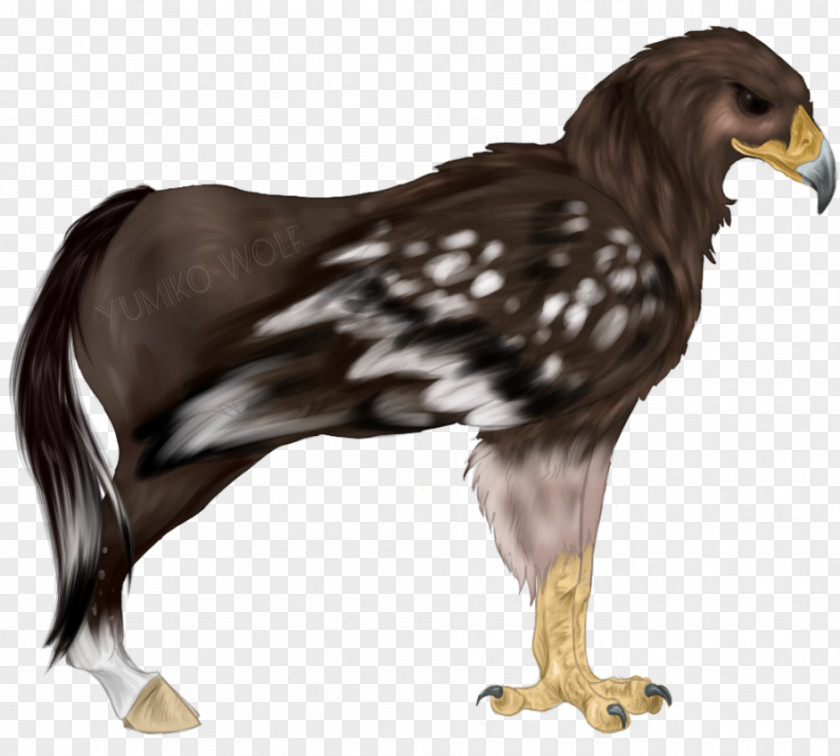 Eagle Hippogriff Horse Legendary Creature Griffin PNG