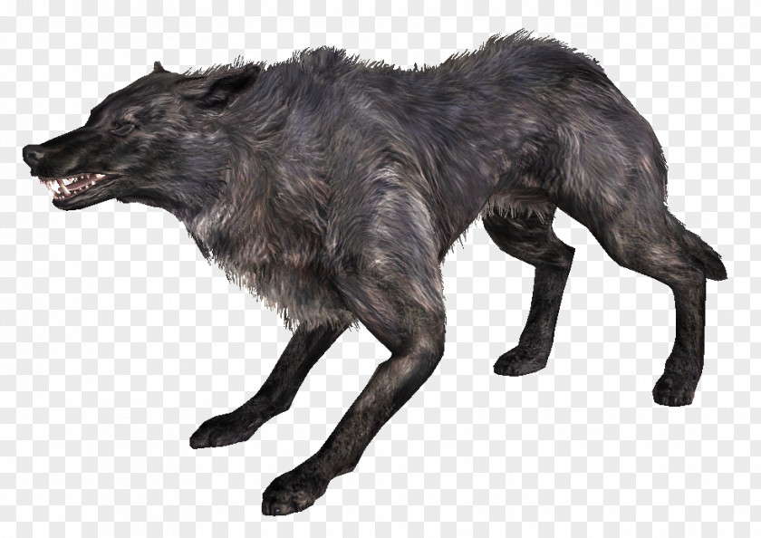 Magicka The Elder Scrolls V: Skyrim Gray Wolf American Pit Bull Terrier WolfQuest Video Game PNG