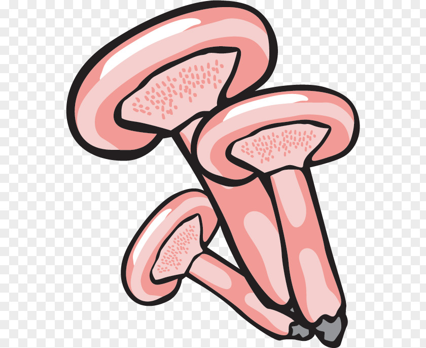 Mushroom Fungus Clip Art PNG