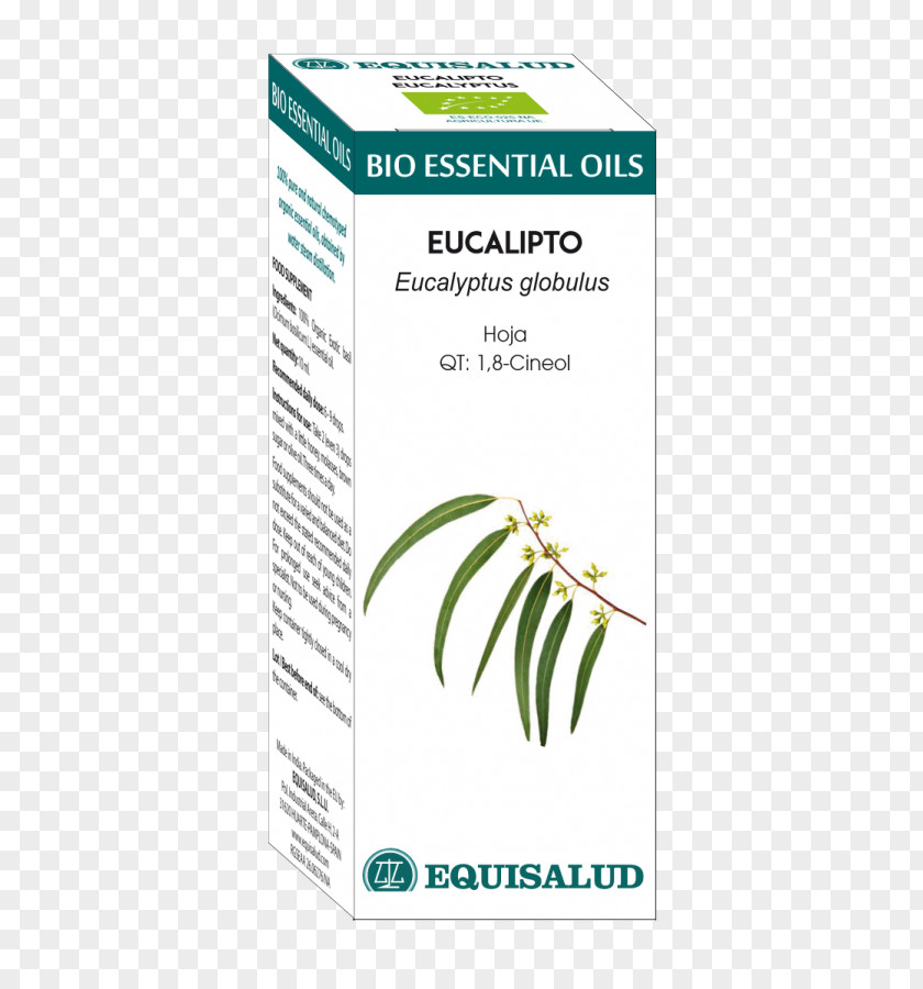 Oil Garden Thyme Essential Eucalyptol Basil PNG