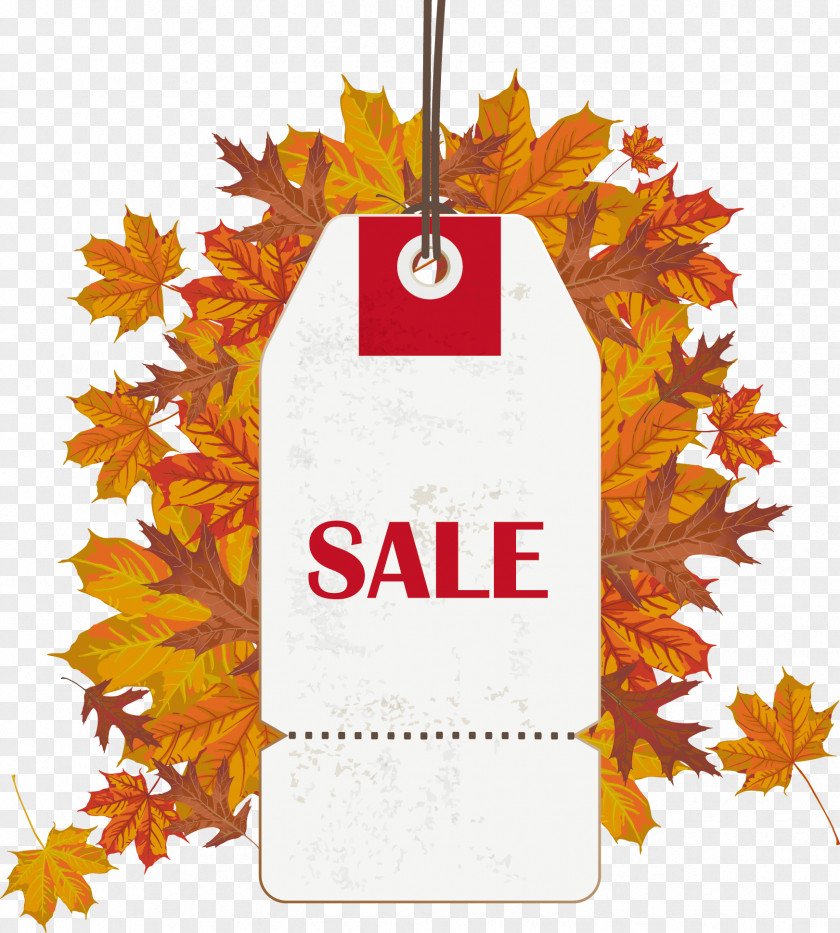 Vector Maple Leaf Brand Promotion Royalty-free Sales Thanksgiving Illustration PNG