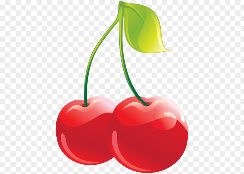 Cherry Cordial Clip Art PNG