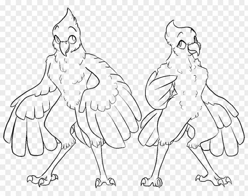 Cockatoo Art Drawing Homo Sapiens Animal Furry Fandom PNG