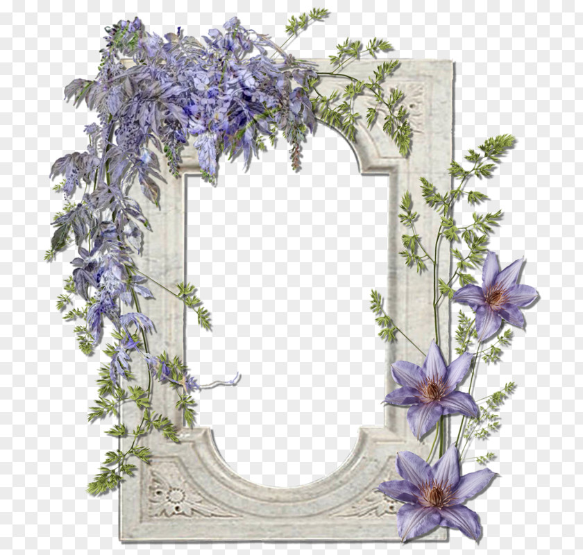 Flower Image Picture Frames Photograph PNG