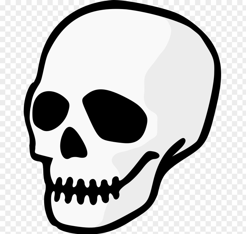 Free Skull Pictures Drawing Clip Art PNG
