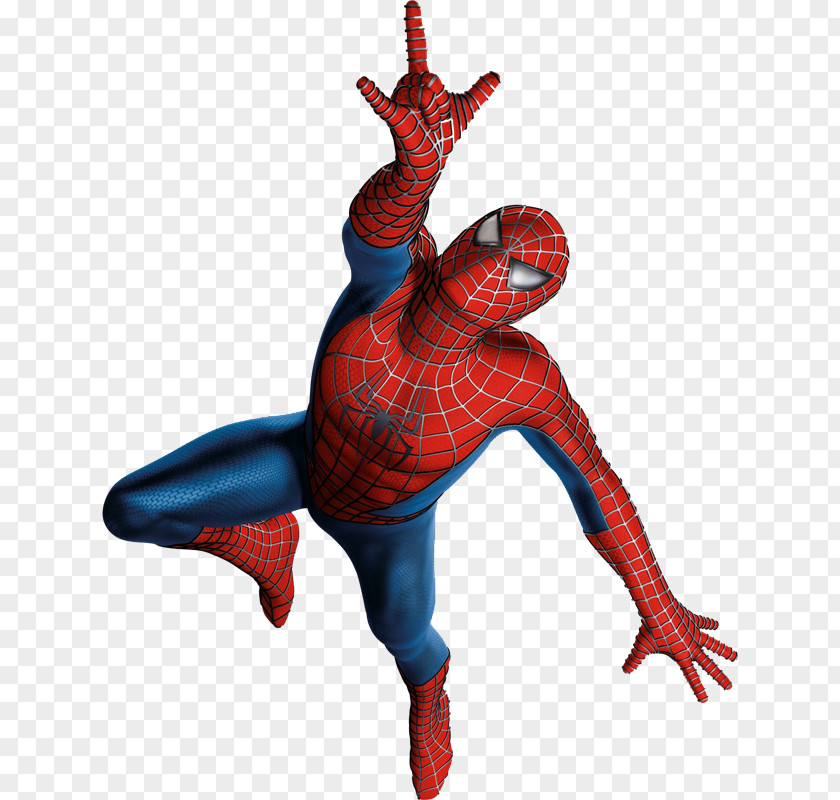 Spider Spider-Man Venom Thor Clip Art PNG