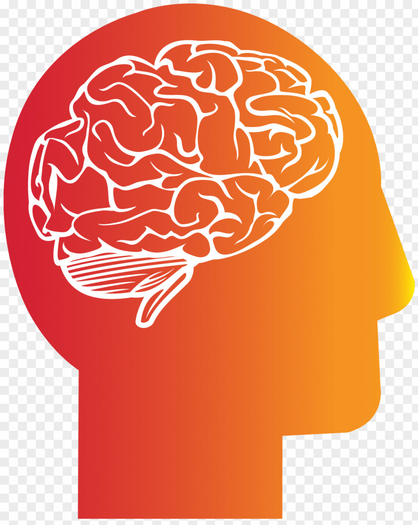 Brain Cortechs Labs Neurology Hitachi Head PNG