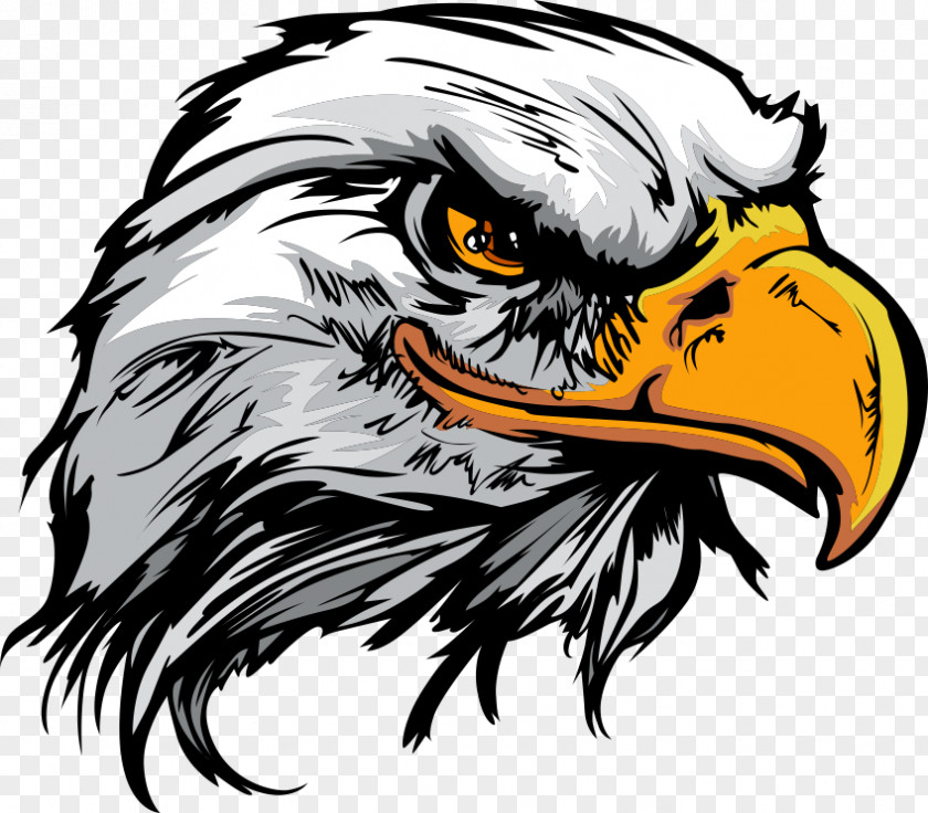 Cartoon Eagle Bald Logo PNG