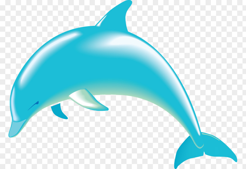 Ocean Cliparts Spinner Dolphin Free Content Clip Art PNG