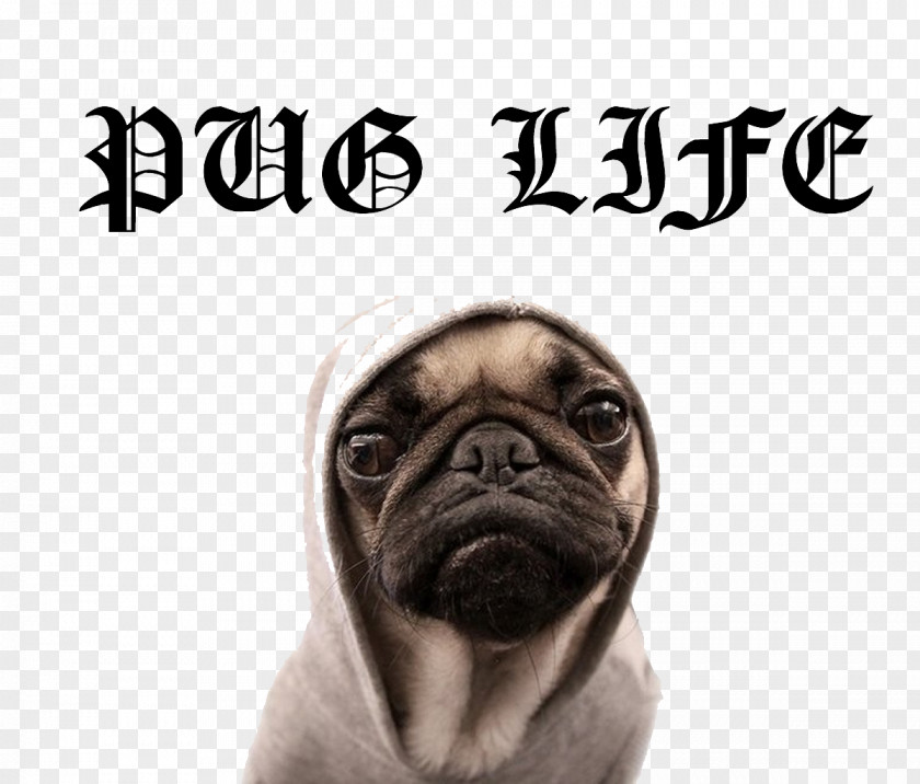Pug Life File Puggle T-shirt Puppy Dog Breed PNG