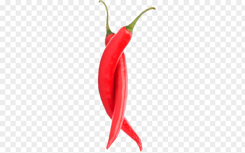 Bird's Eye Chili Piquillo Pepper Serrano Chile De árbol Jalapeño PNG