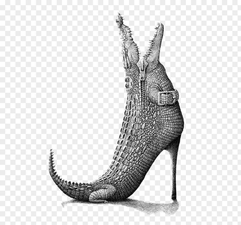 Creative IllustrationCrocodile Heels Visual Arts Horse Drawing Animal Illustration PNG