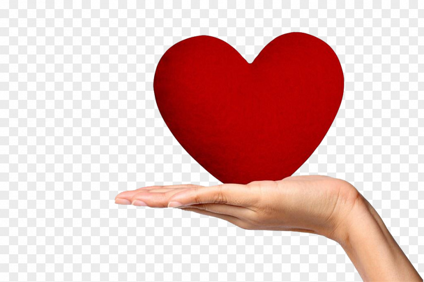 Holding Red Heart Hand Google Images Clip Art PNG