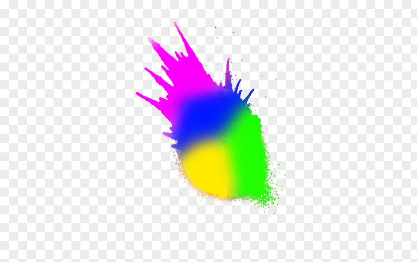Holi Color Clip Art PNG