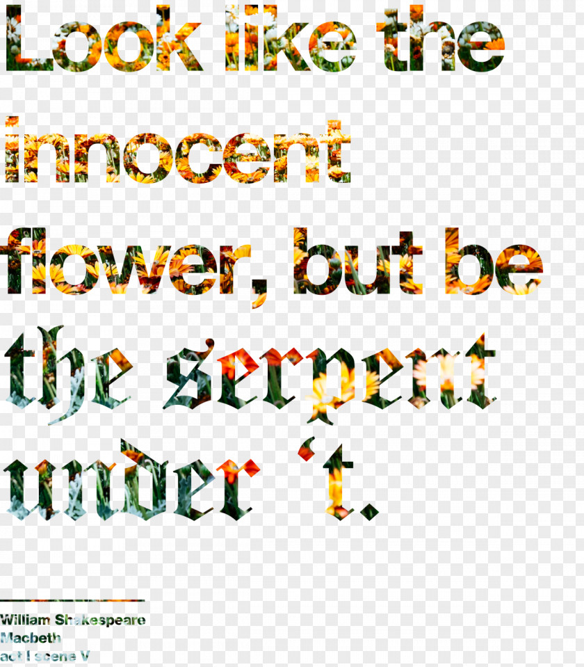 Look Like The Innocent Flower, But Be Serpent Under ’t. Macbeth T-shirt Art PNG