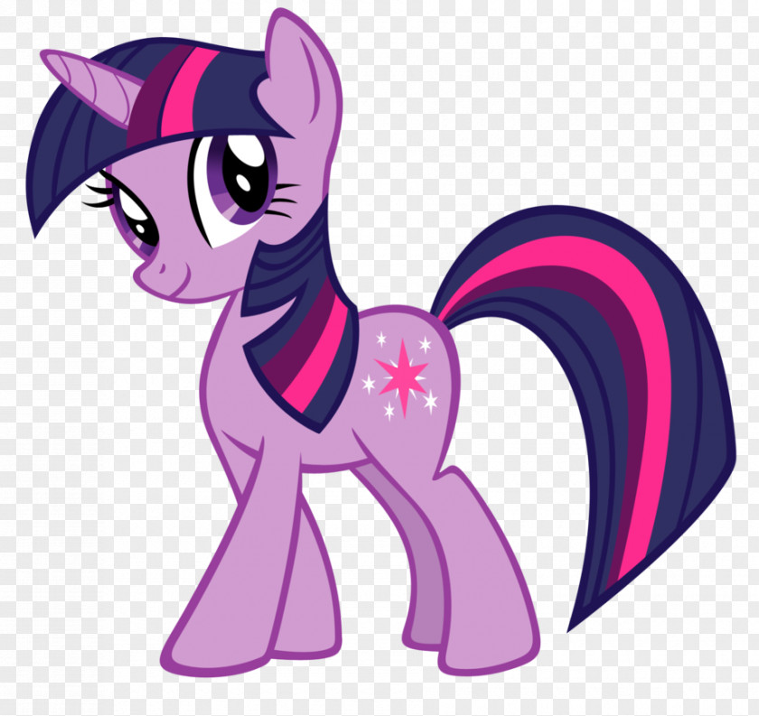 My Little Pony Twilight Sparkle Applejack Rainbow Dash PNG