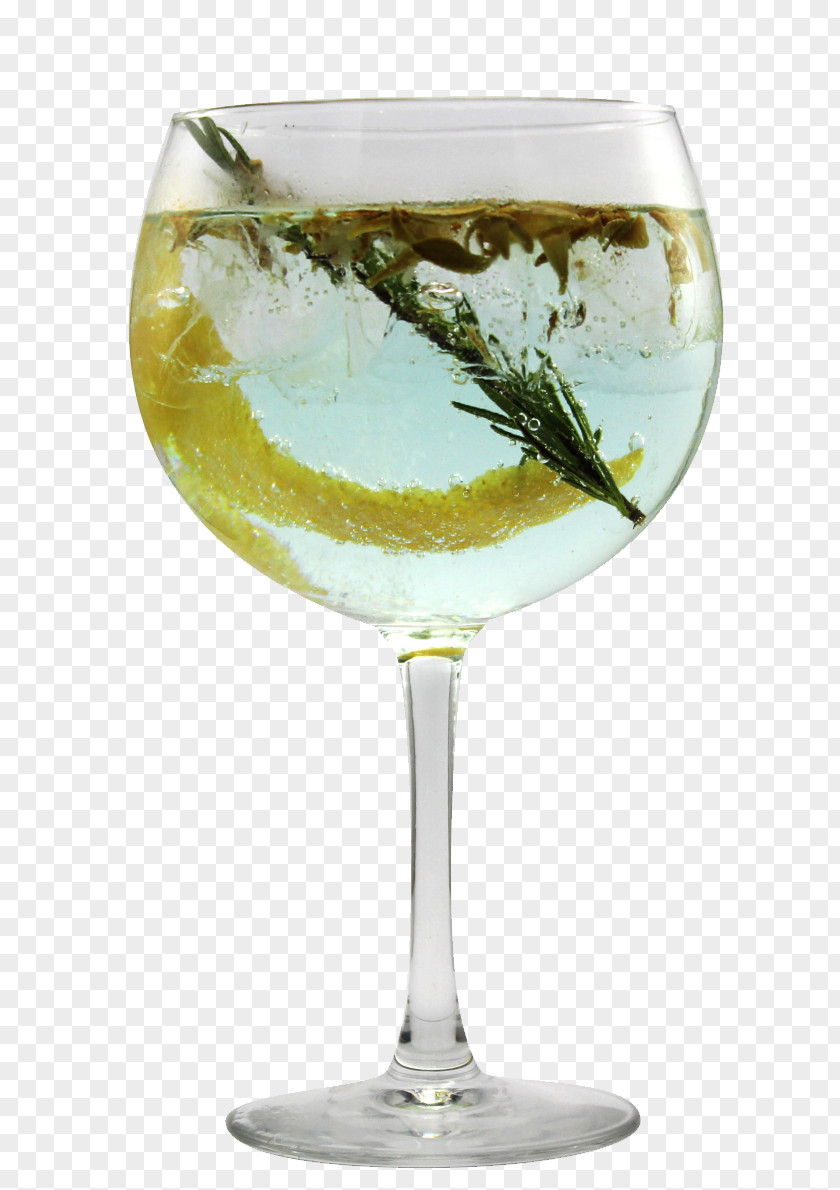 Snack Gin And Tonic Cocktail Garnish Water PNG