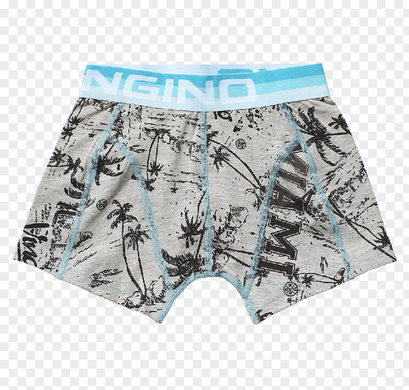 Swim Briefs Miami Beach Undergarment Shorts PNG briefs Shorts, miami beach clipart PNG