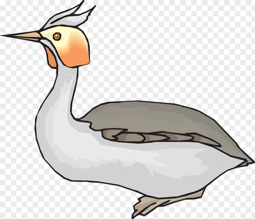 Duck Clip Art Goose Bird Vector Graphics PNG