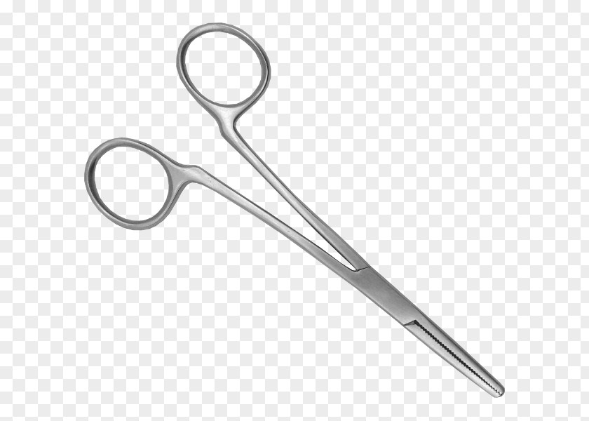 Grooming Forceps In Childbirth Dog Ear Hemostat PNG